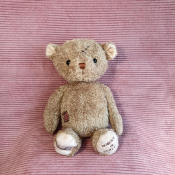 Miś Nobody's Perfect 25 cm - Kultowy pluszak Bukowski Design